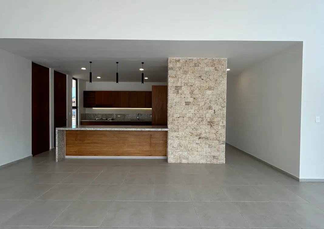 Modelo 301